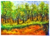 The spring, 11x15 inch, watercolors on cold press paper, SKU 4031 