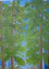 Three Seasons Woodland Walk,  Triptych