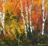 Aspen trees in autumn