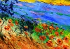 Lavender and red poppies in Provence 