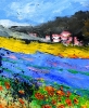 Lavender and red poppies in Provence 