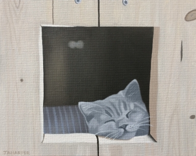Cat In A Wooden Box