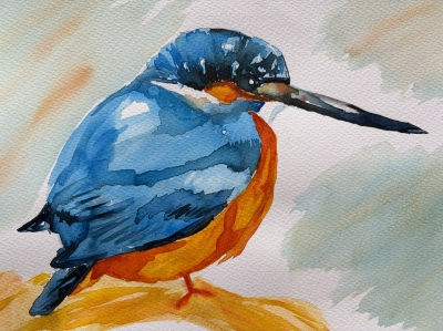 A Kingfisher -  Hand Painted 
