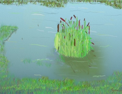Cattails in Lake