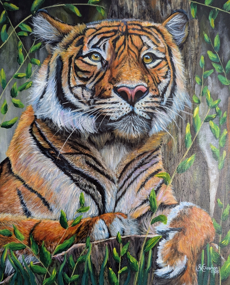 Tiger Stance 