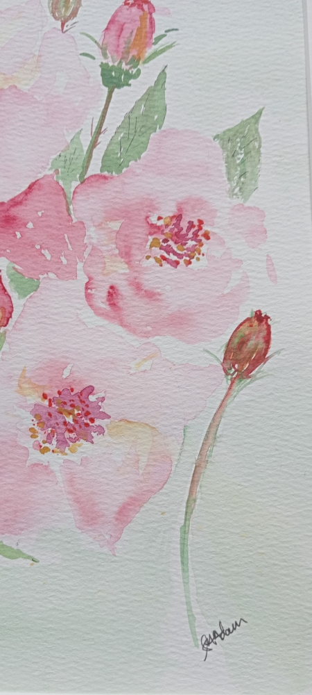 Castle Roses