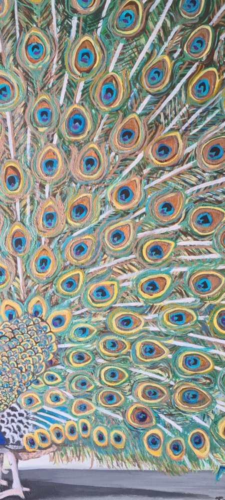 Peacock