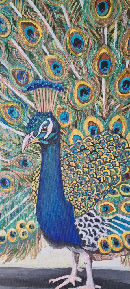 Peacock
