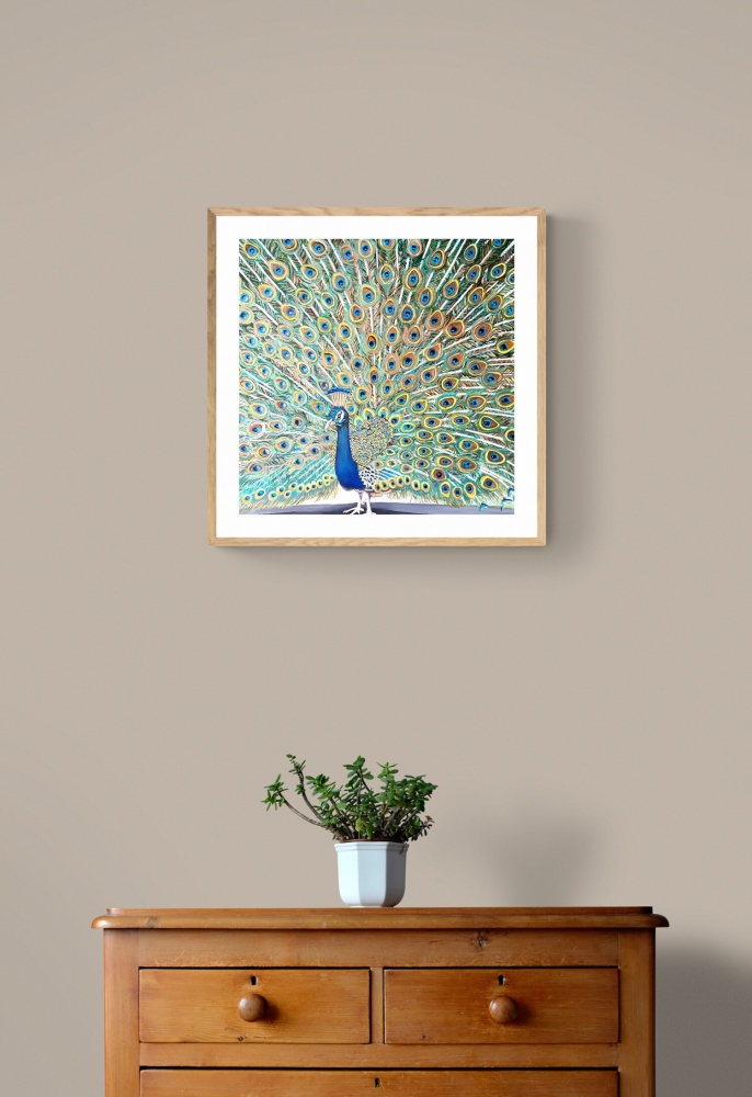 Peacock