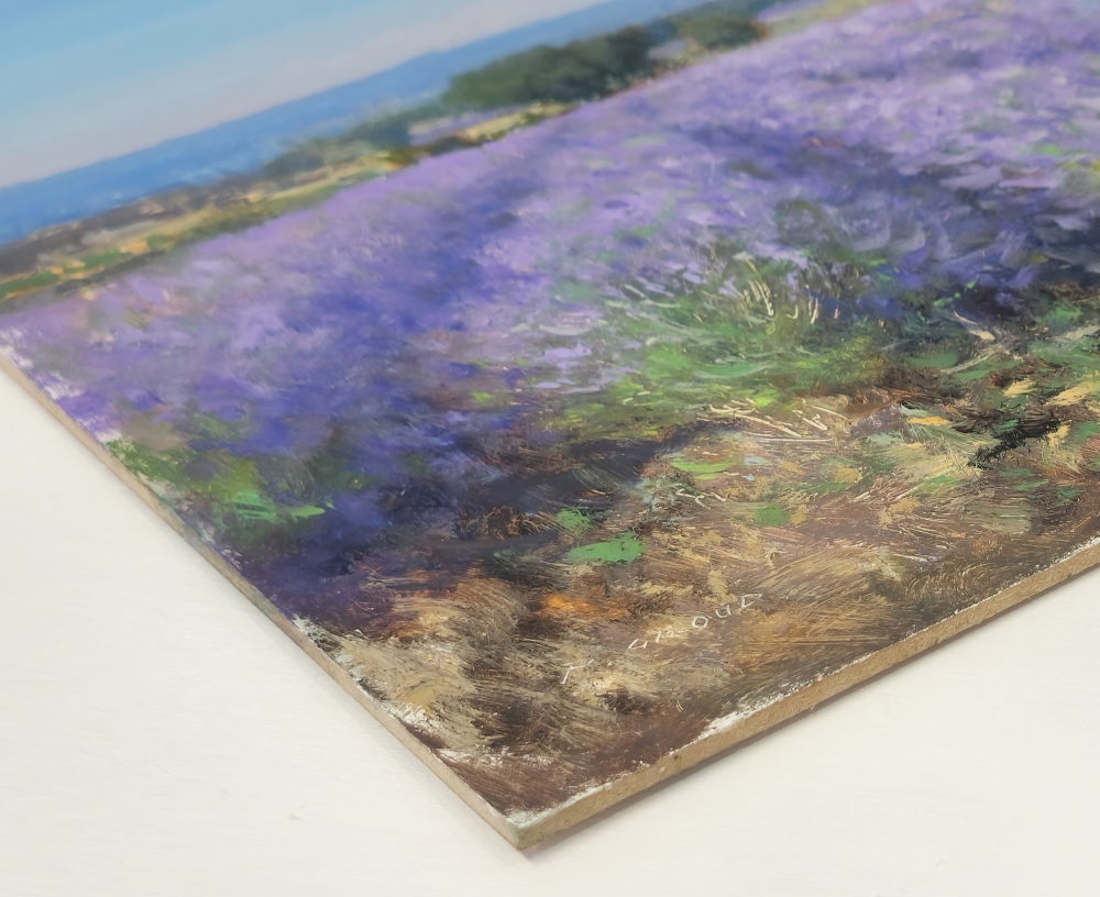 Lavender fields at Valensole