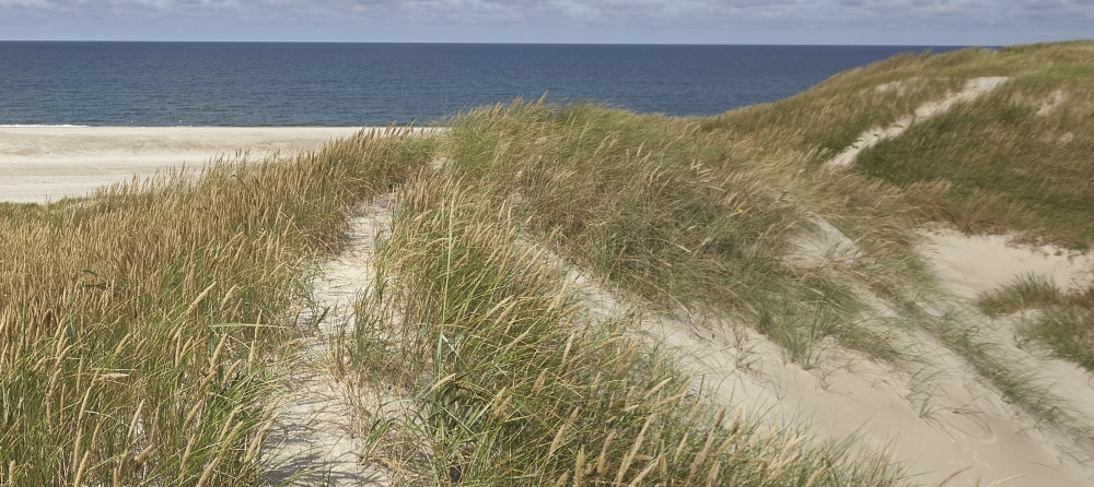 Beyond the Dunes