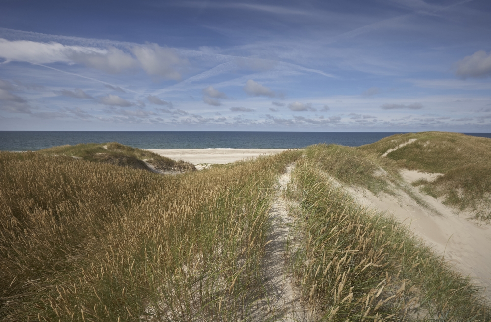 Beyond the Dunes