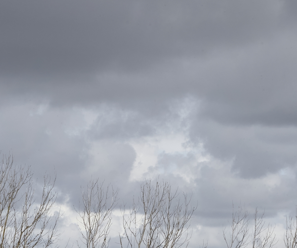 Beneath the Gathering Sky