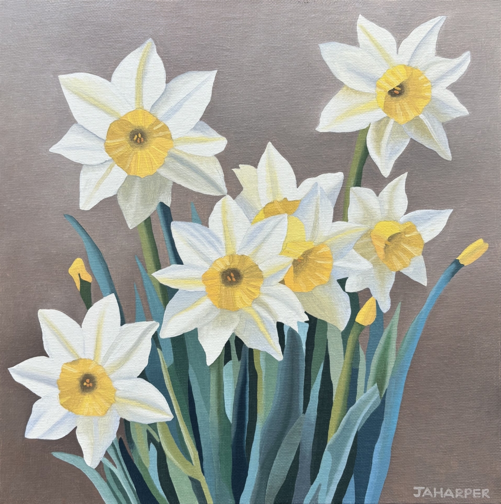 Spring Daffodils