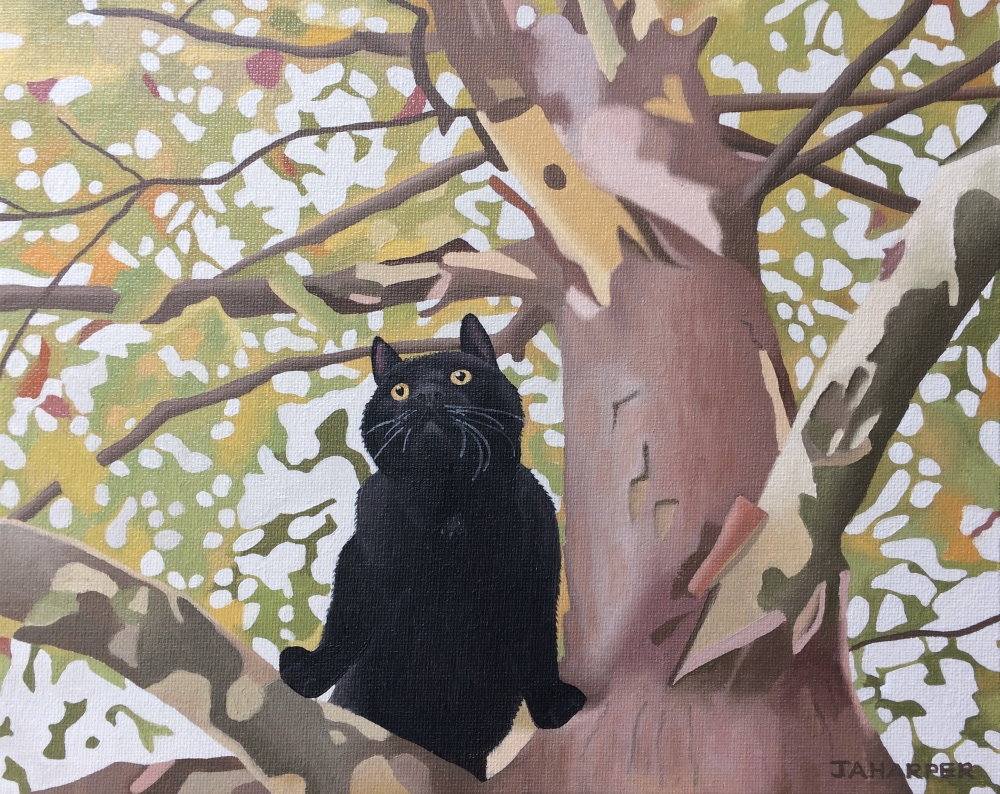 Cat In The Tree
