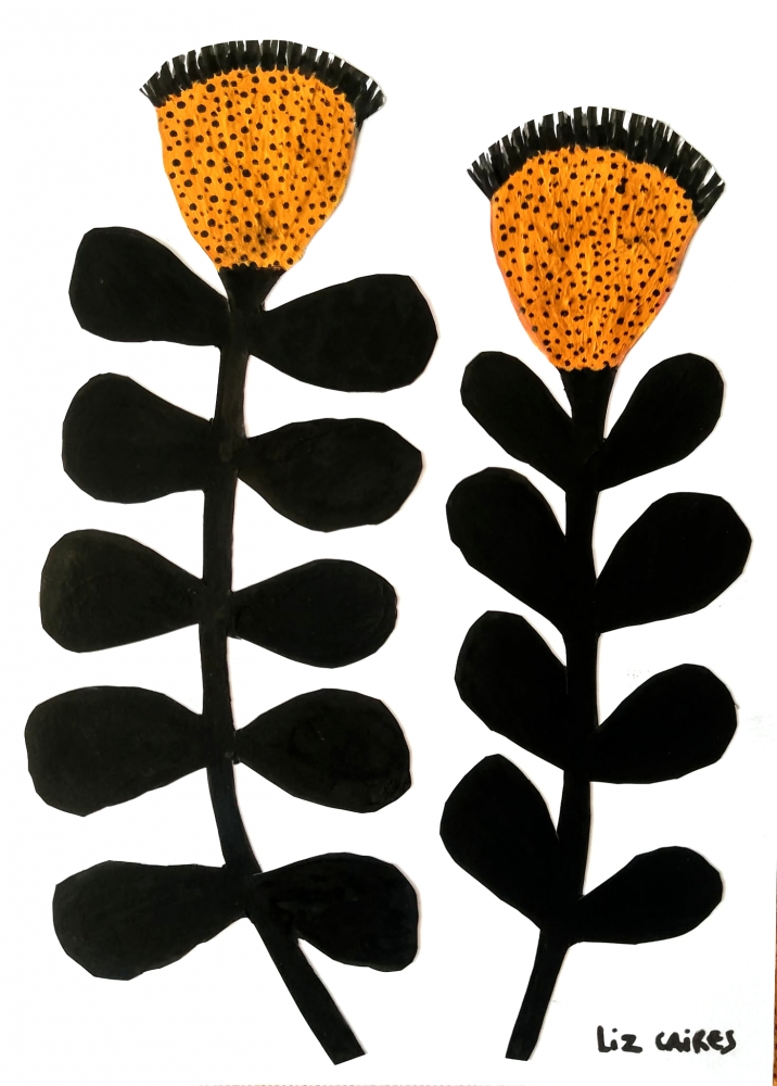 Dandelions 