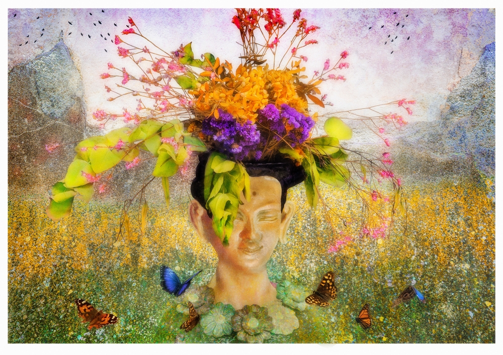 Field of Flowers