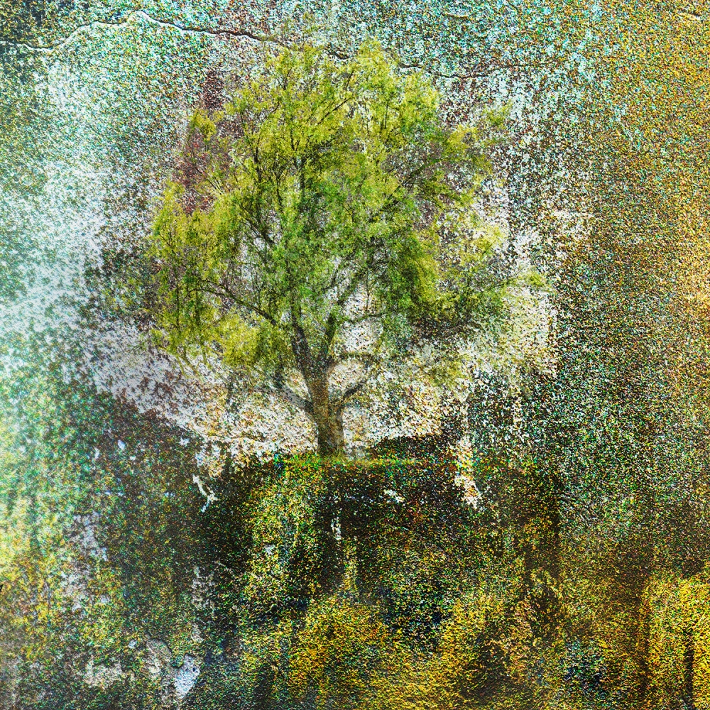 Restortaion