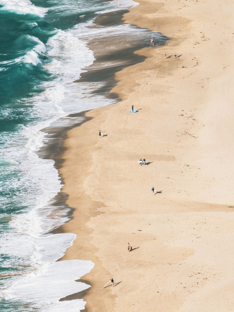 Awaiting the Perfect Wave