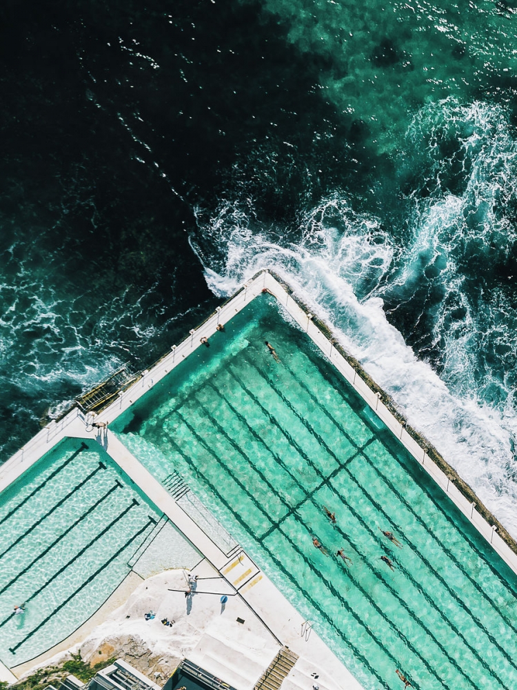 Bondi Icebergs