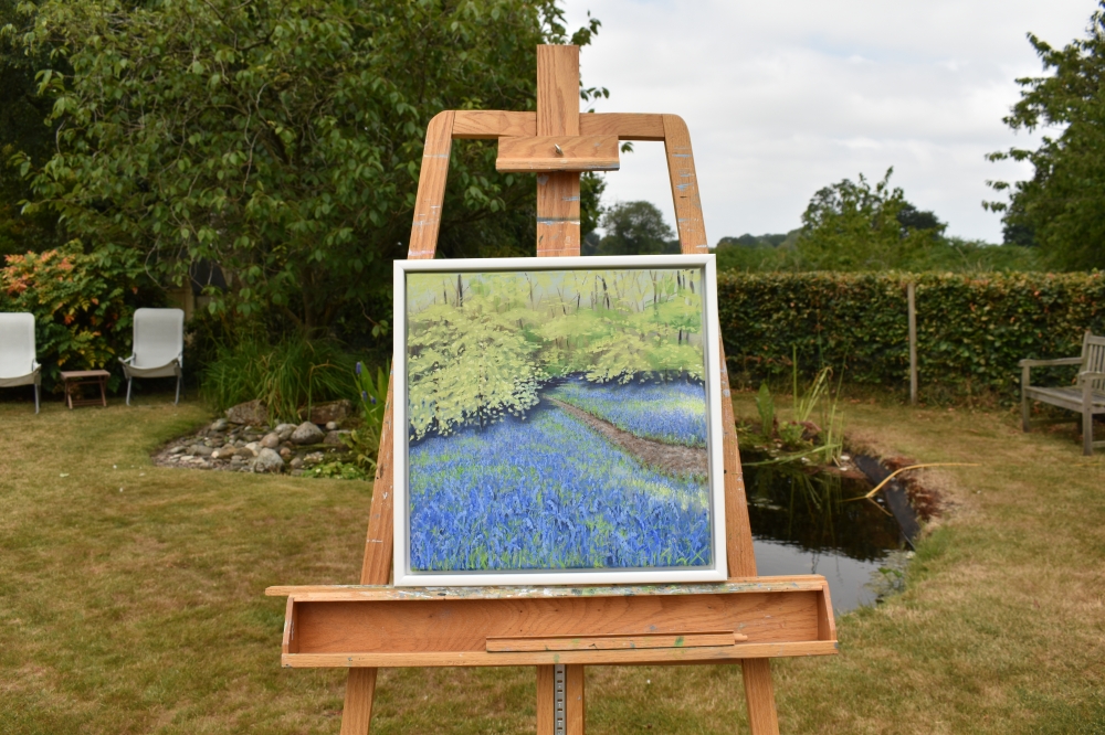 A Walk Into the Bluebell Wood