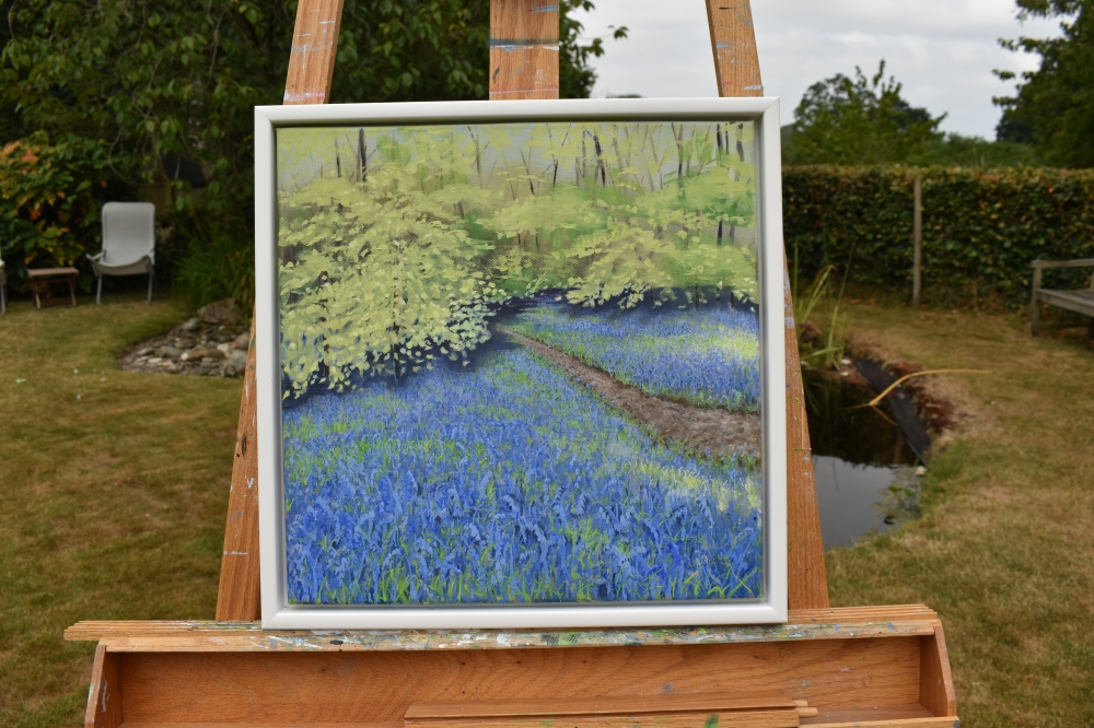 A Walk Into the Bluebell Wood