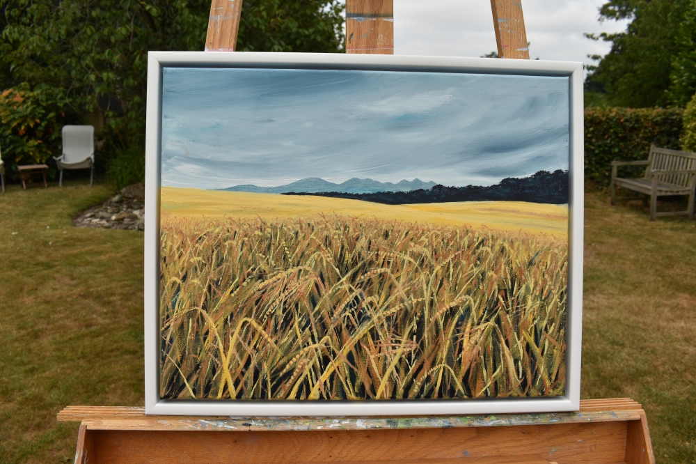 Fields of Barley