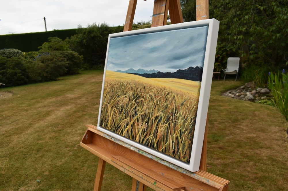 Fields of Barley