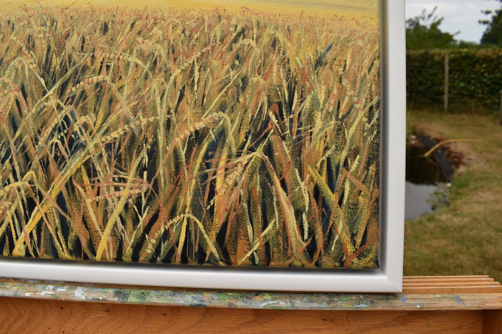 Fields of Barley