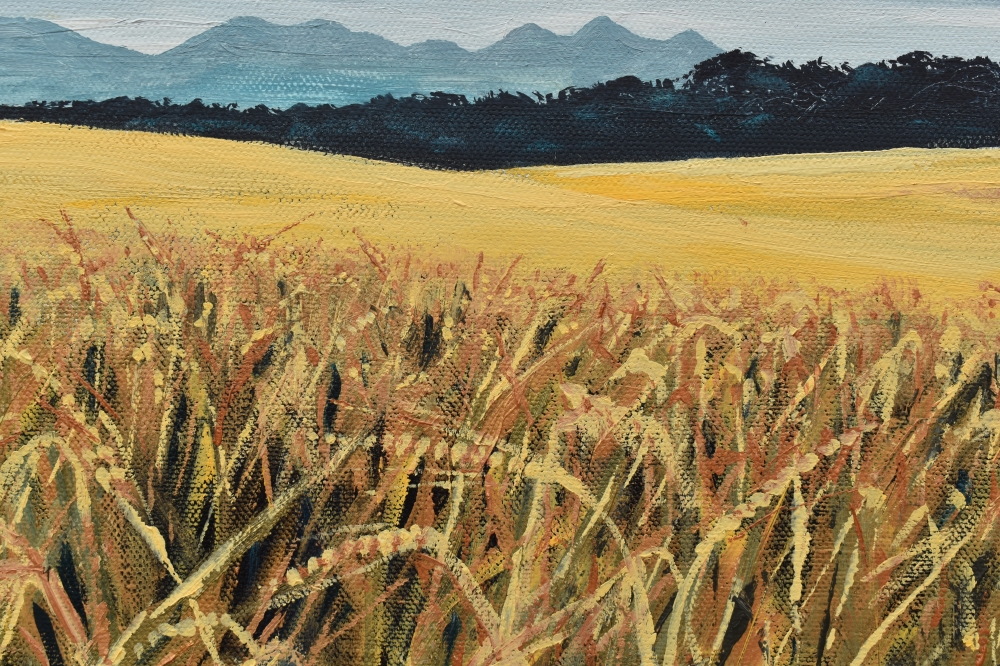 Fields of Barley