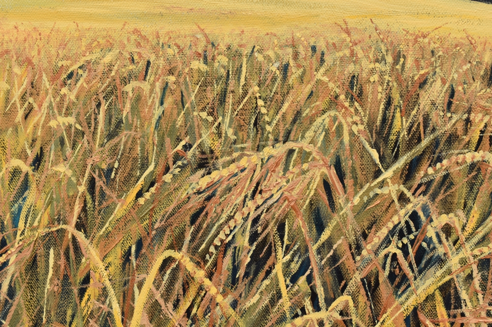 Fields of Barley