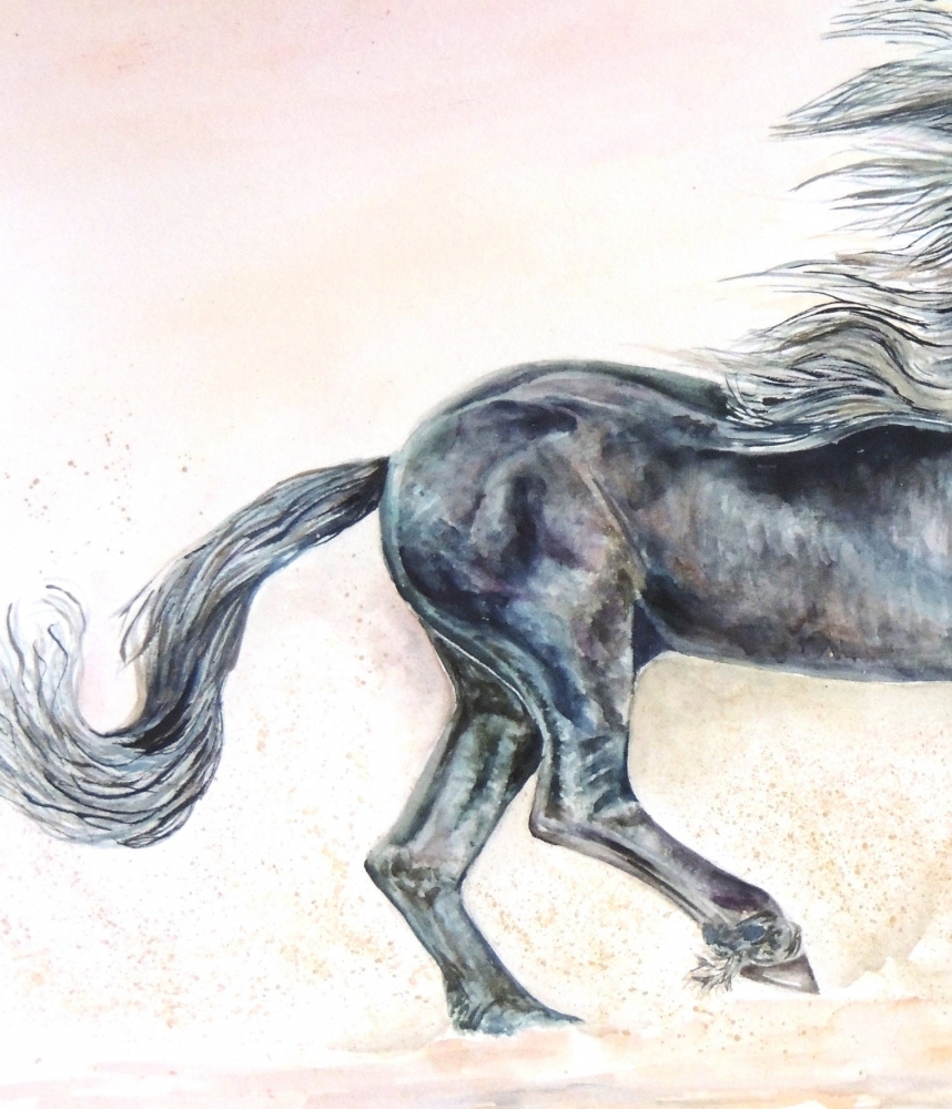 Unbridled