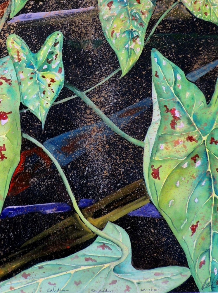 Island Forest Mosaic
