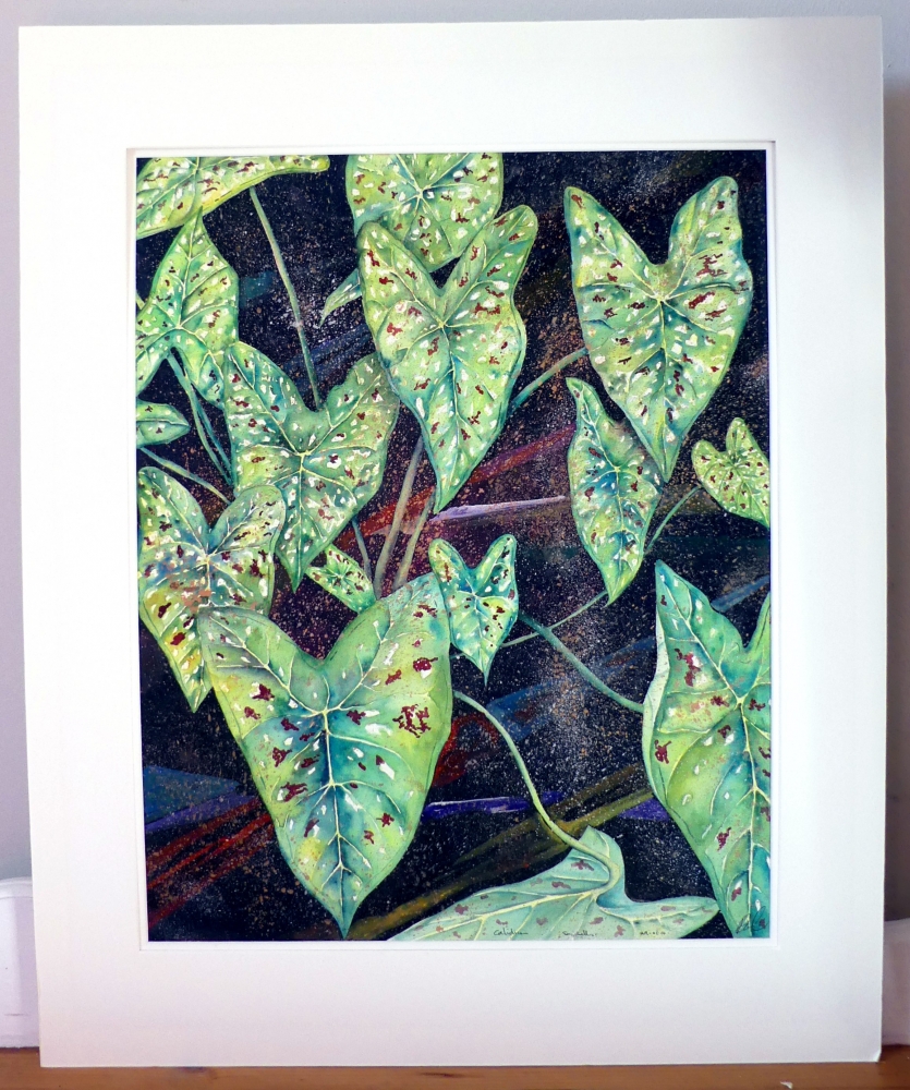 Island Forest Mosaic