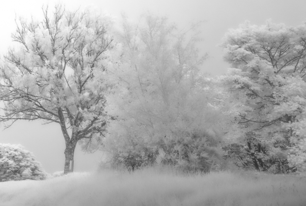 Invisible Light: Haldon Dreamscape 2