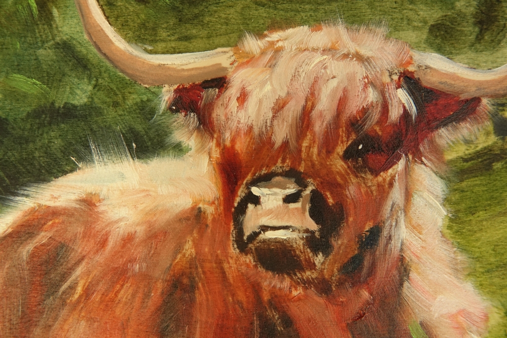 Highland Monarch