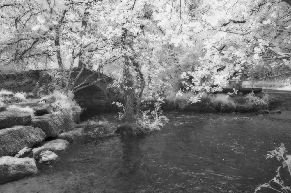 Invisible Light: Echoes of Dartmoor 1