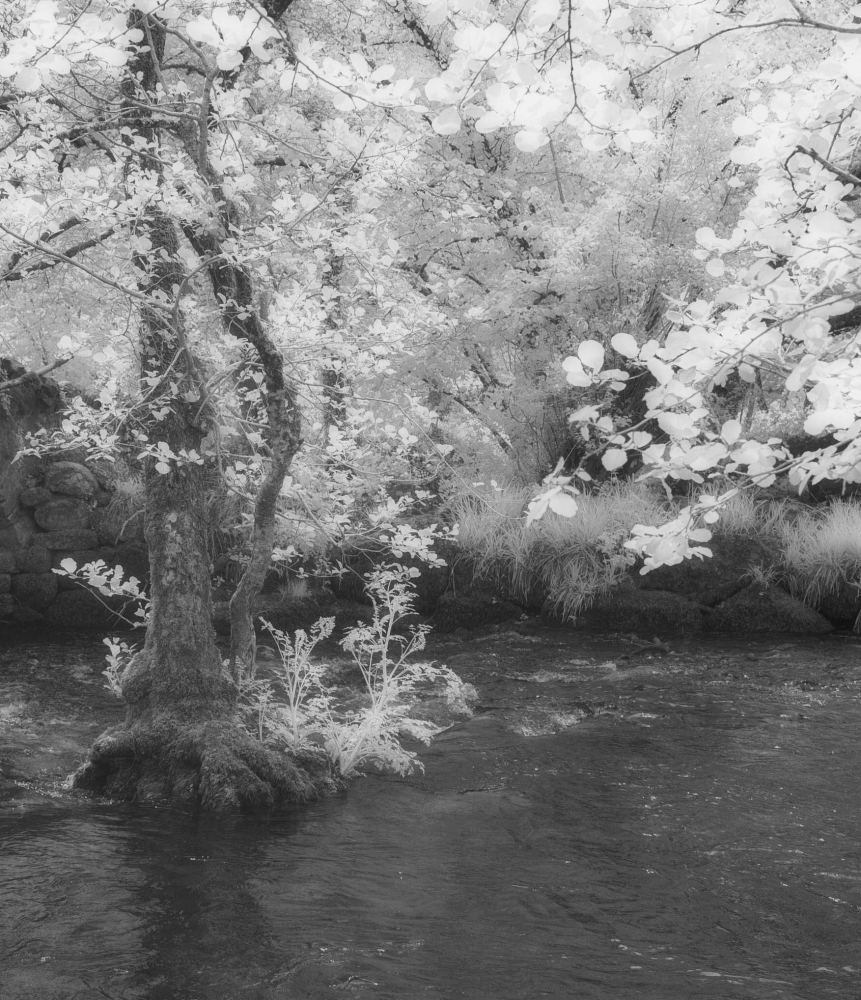 Invisible Light: Echoes of Dartmoor 1
