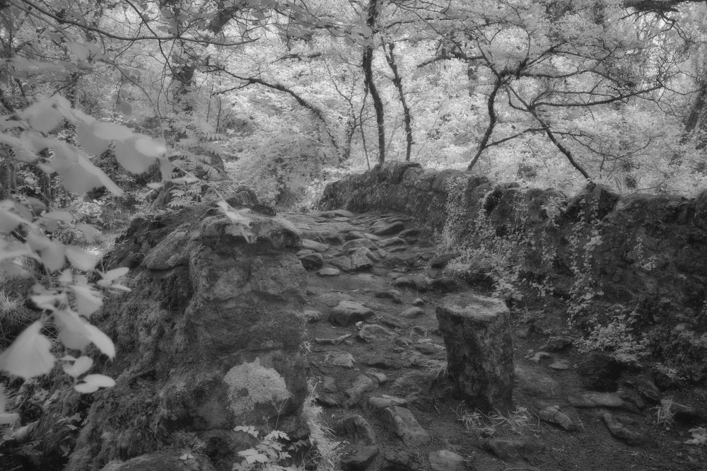 Invisible Light: Echoes of Dartmoor 2