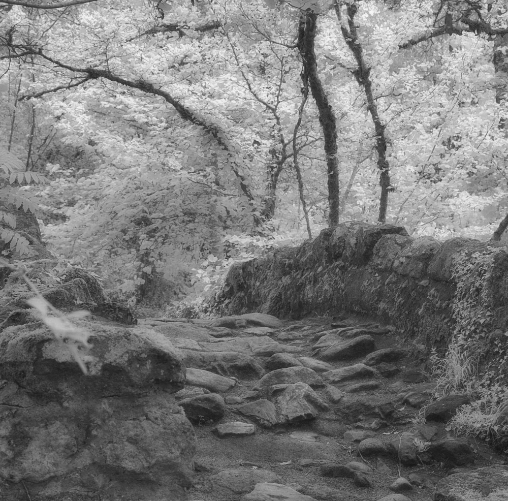 Invisible Light: Echoes of Dartmoor 2