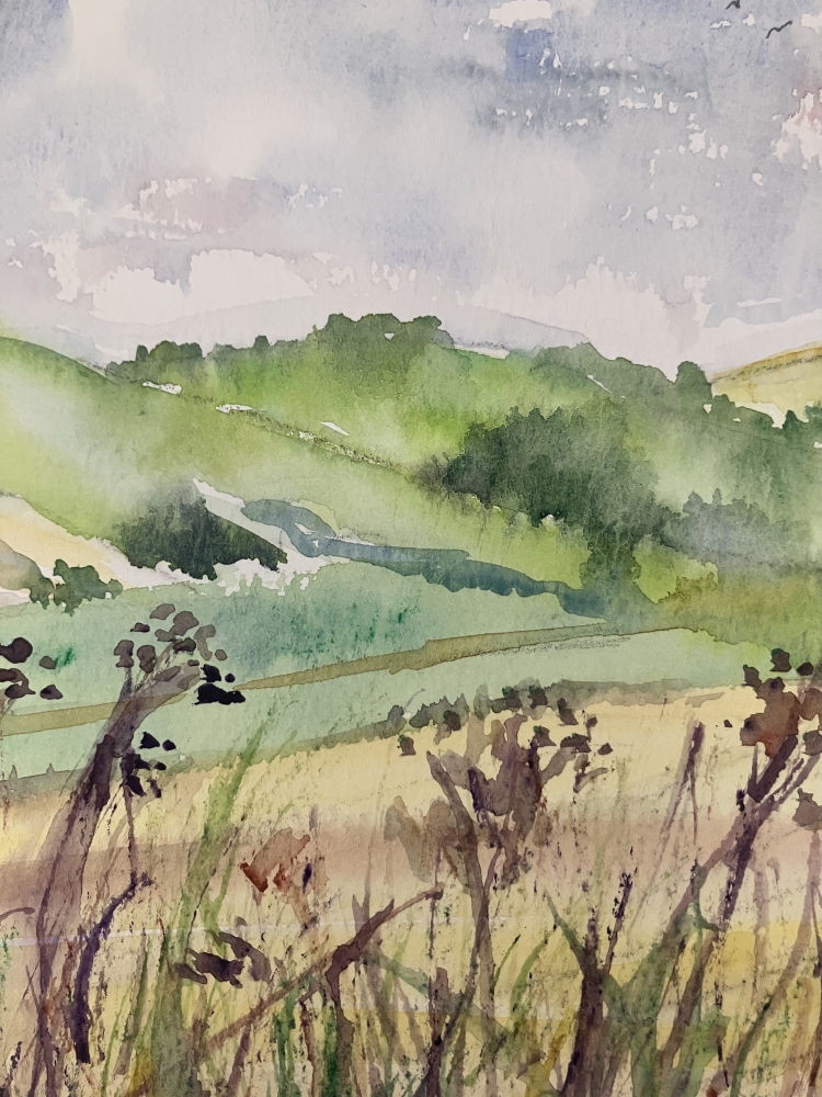 September Hues of the Downs