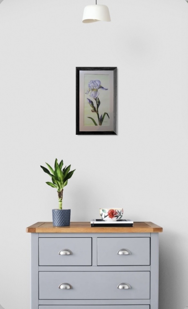 White Iris