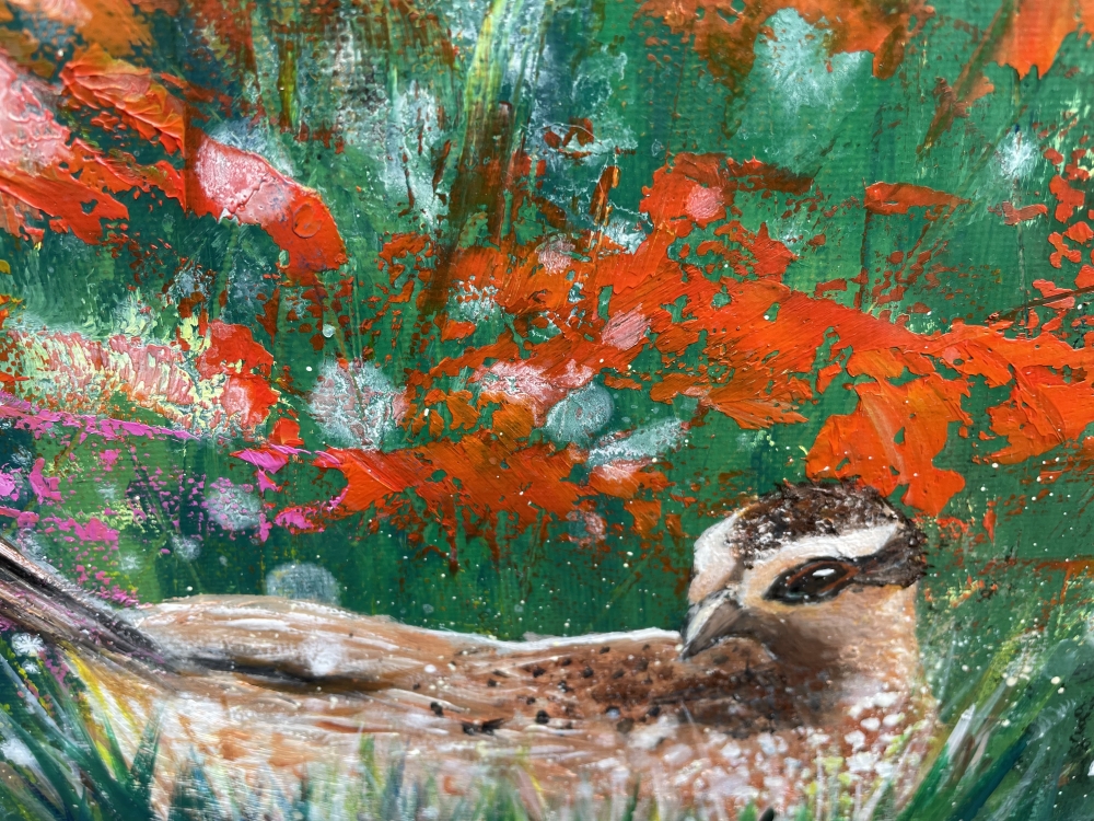 Hen Pheasant at Dusk
