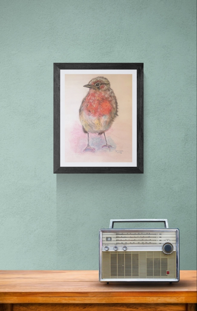 Young Robin 