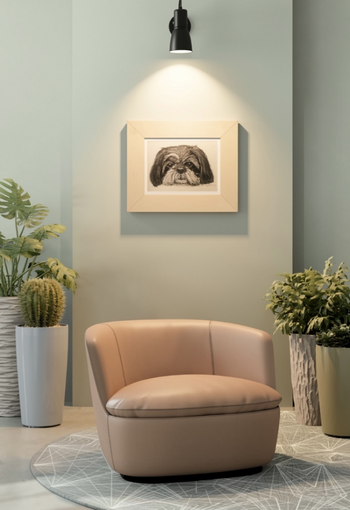 Tom the Lhasa apso 
