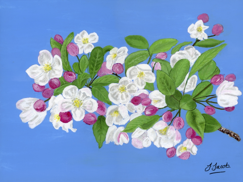 Serenade of Spring 