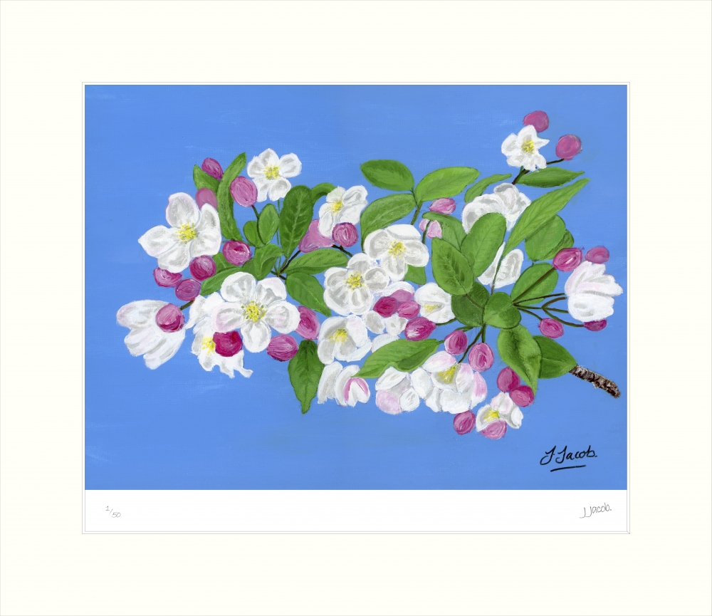 Serenade of Spring 