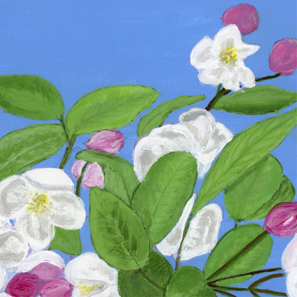 Serenade of Spring 