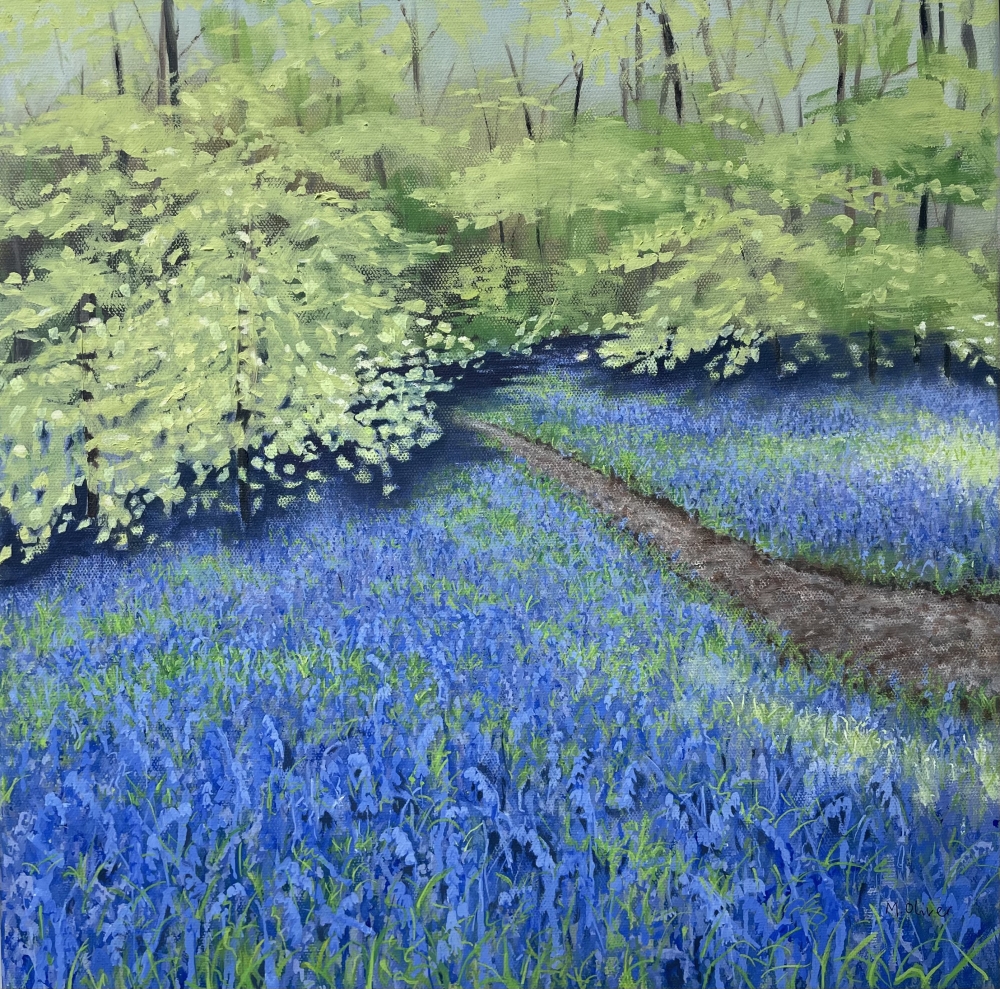 A Walk Into the Bluebell Wood