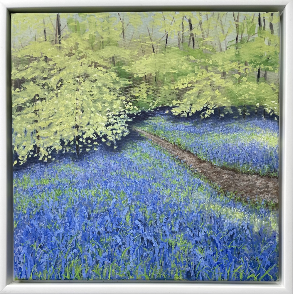 A Walk Into the Bluebell Wood